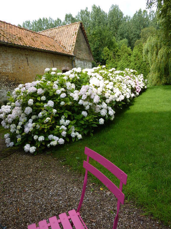 Bed and Breakfast Le Moulin De Tigny Exteriér fotografie